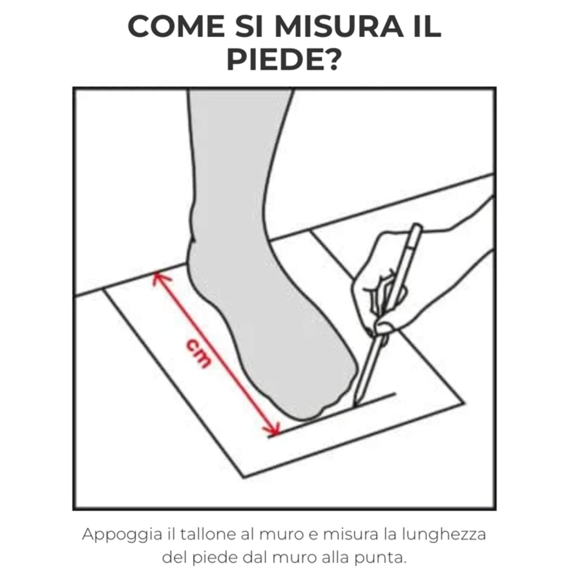 Scarpe Top Martini Racing Sparco - immagine 5